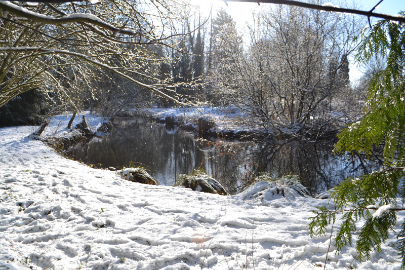 weekend insolite en hiver balade sous la neige