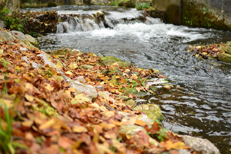 week-end-en-automne