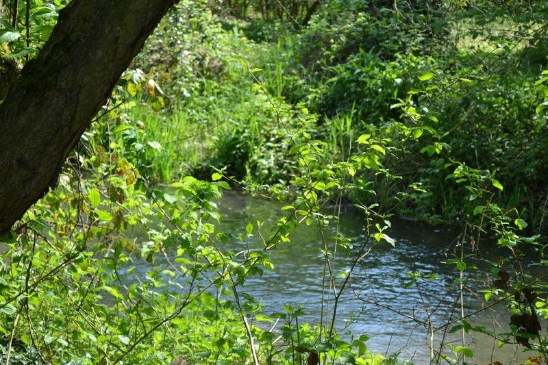 riviere-romantique-aisne-picardie