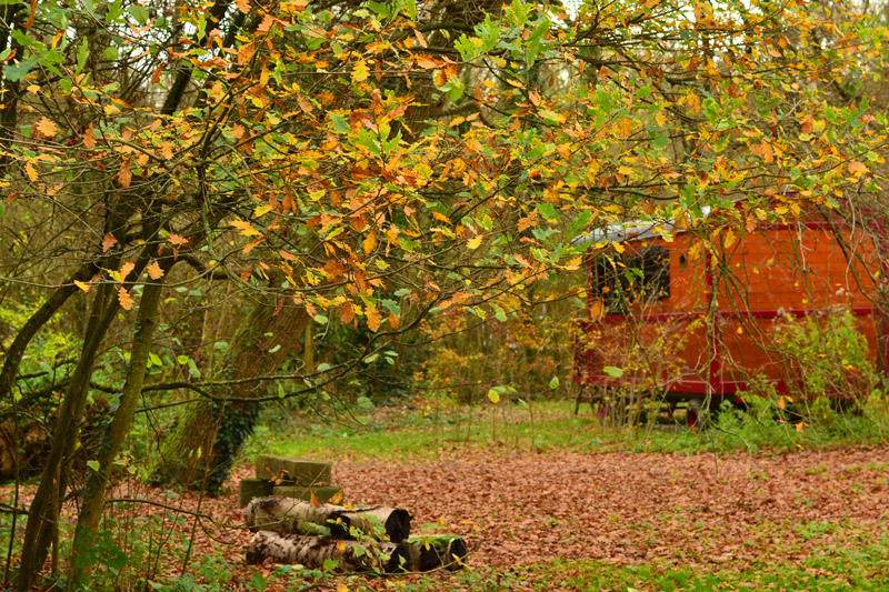 week-end-toussaint-avec-les-enfants