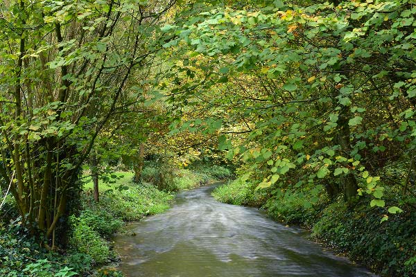 riviere-weekend-nature-maison-omignon
