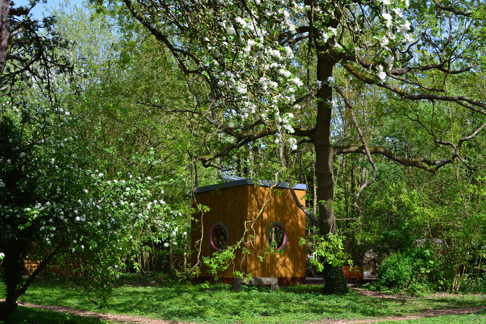 cabane en pleine nature