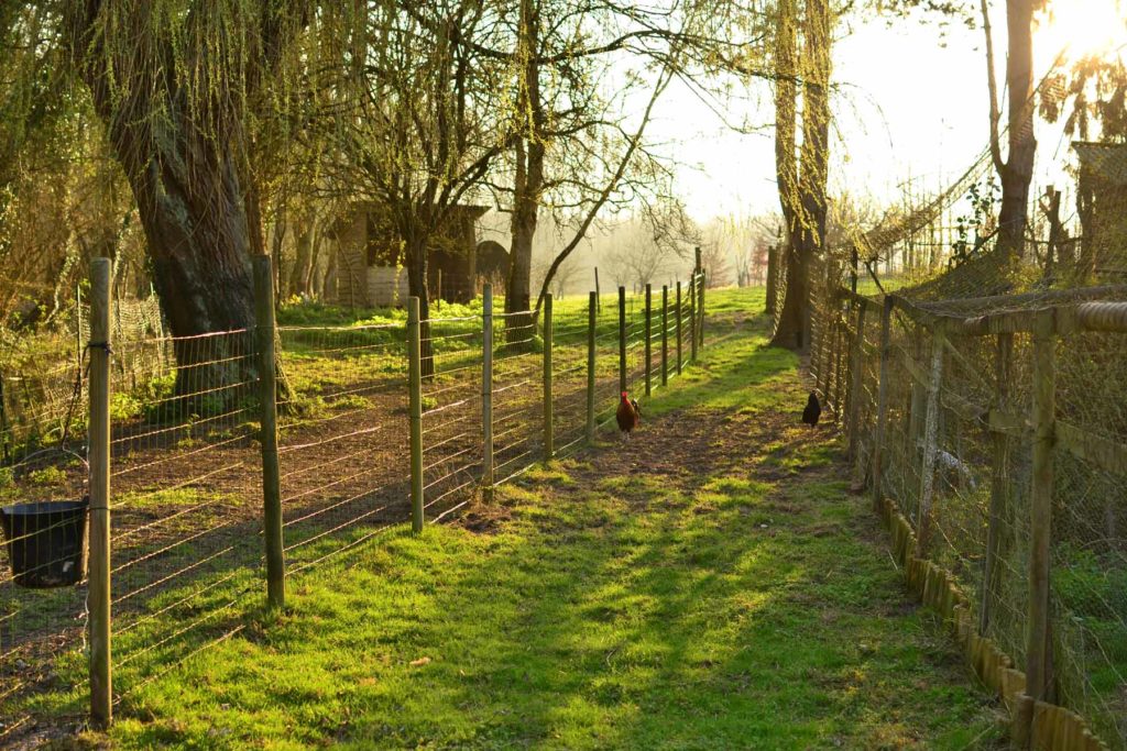 moulin binard gîte péronne