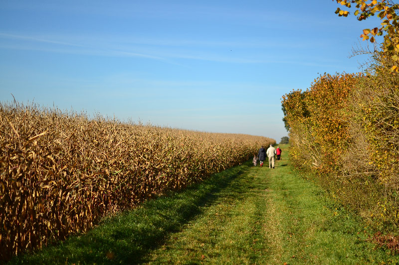 nature-aisne-picardie