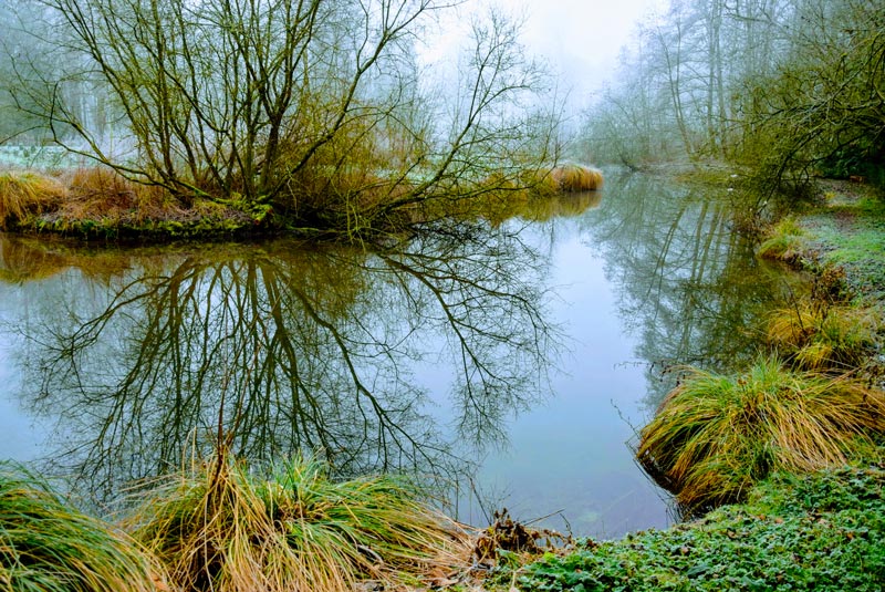 La rivière Omignon en Février à Vermand