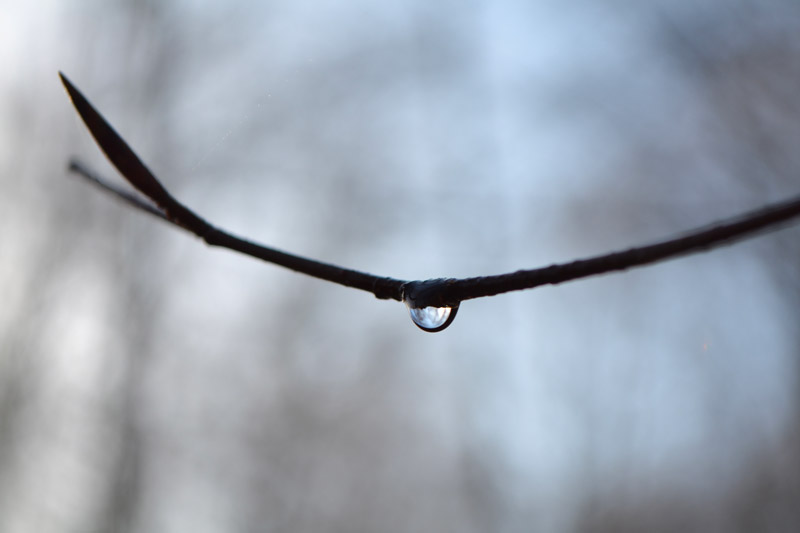 remède au blues hivernal aimer la pluie