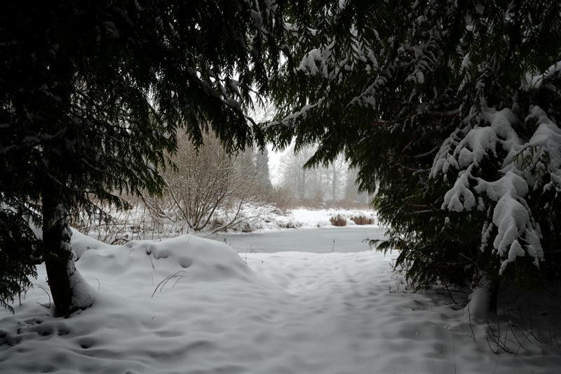 sentiment scandinave sous la neige à vermand dans les hauts-de-france