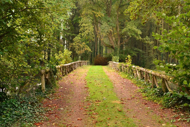 domaine de vadancourt parc arboré et pont romantique