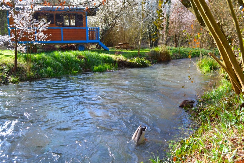 location de roulotte en picardie