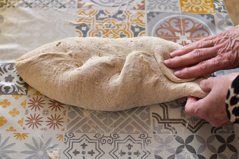 fermentation et pétrissage du pain