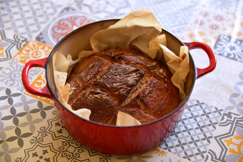 Cocotte En Fonte émaillée Homtone 22 Cm - Parfaite Pour Le Pain Au Levain, Cuisson Lente, Compatible Induction - Avec Maniques
