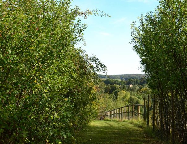 oppidum-de-vermand-en-picardie