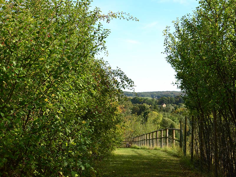 oppidum-de-vermand-en-picardie