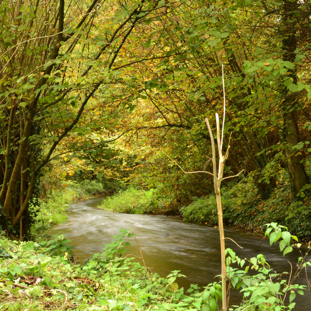 Rivière, Maison de l'Omignon