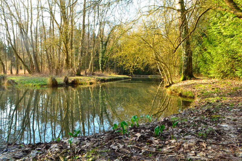 astuce anti-stress contempler un beau paysage