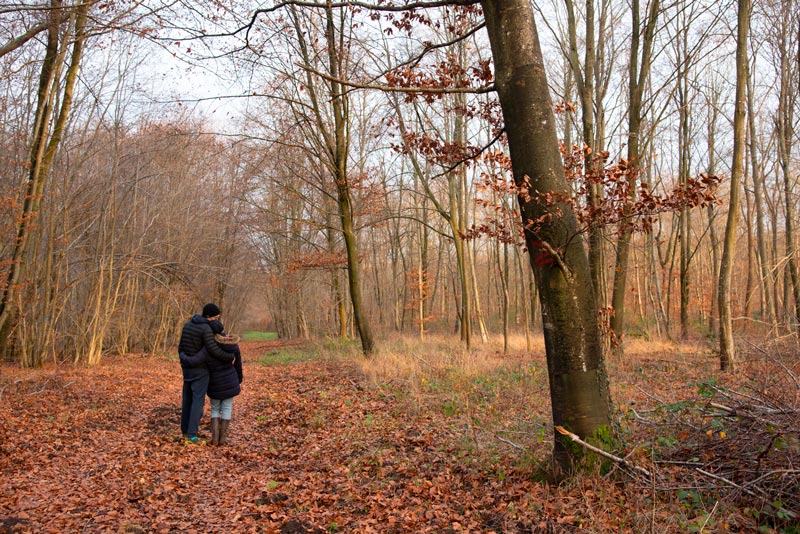 couple-foret-de-compiegne