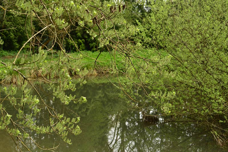 nature-en-picardie-aux-roulottes-de-l-omignon