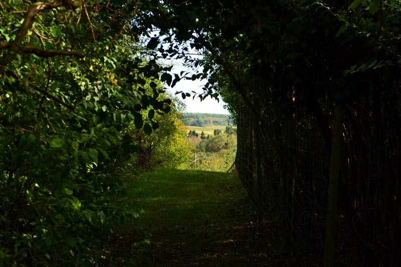 oppidum-vermand-village-gaulois