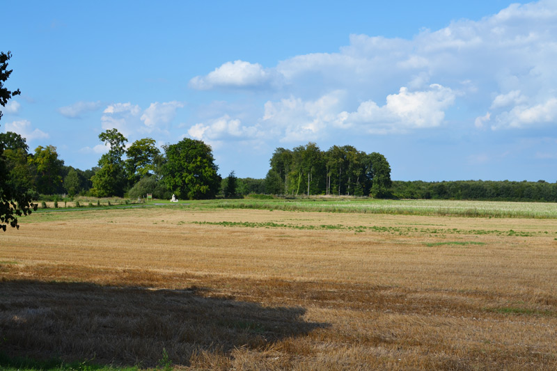 ruines-de-champlieu-sortie-avec-les-enfants-oise