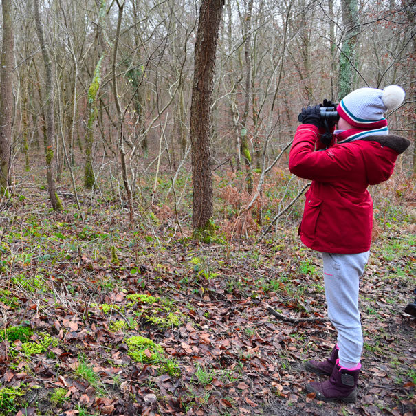 observer-les-oiseaux-hiver-noel