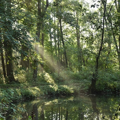 nuit-insolite-nature